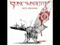 Sonic Syndicate - Callous Lyrics