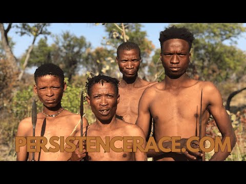 Run with the Persistence Hunters of the Kalahari | 150km Ultra Race