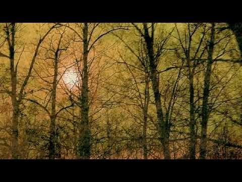 Giffen - Serenade to Autumn