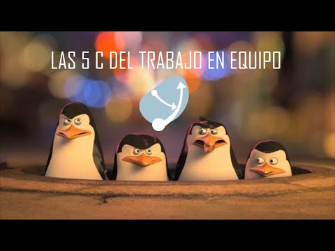 Las 5 C del trabajo en equipo