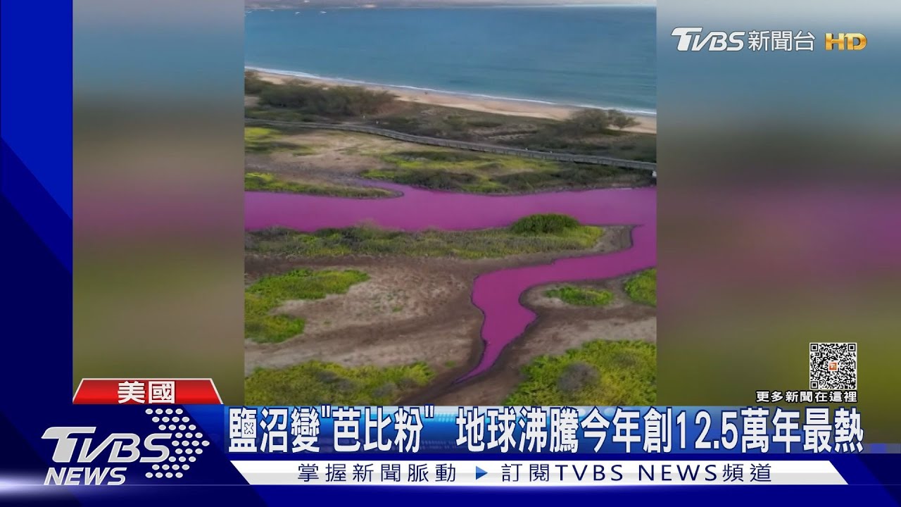 鹽沼突變「芭比粉」!地球沸騰 近12個月創12.5萬年最熱一年