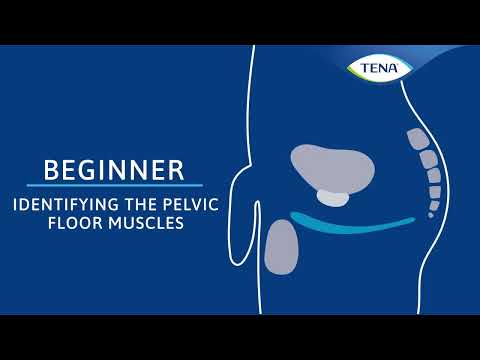02 - identifying the Pelvic Floor Muscles - Mens BEGINNER Pelvic Floor EXERCISE