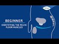 02 Identifying The Pelvic Floor Muscles Mens BEGINNER Pelvic Floor EXERCISE