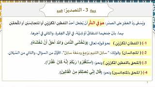 96) التصدير والسجع وما لا يستحيل بالعكس والتبديل والتشريع والموازنة image