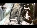 One Minute Meditation - Royalston Falls 