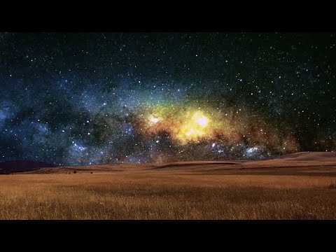 Thom Merlin - Pull Up