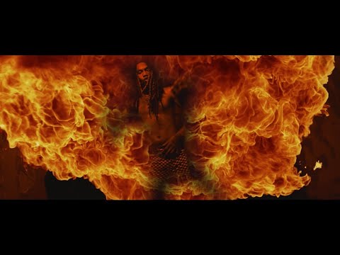 Rek Banga - Tails From The Jungle [Official Video]