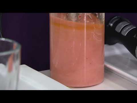Geoffrey Zakarian 330W Immersion Blender with Attachments on QVC