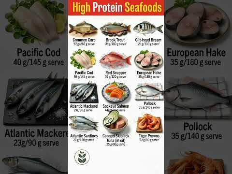 Top 12 High-Protein Seafoods | Best Lean Protein Sources & Nutrition Guide