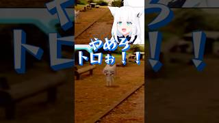 【悲報】トロ、暴走【ホロライブ切り抜き/白上フブキ】 #hololive #vtuber