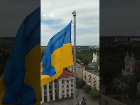 MOLODI, Michelle Andrade - скарб  #ukraine #music #musicvideo #trending #shorts #status