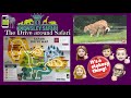 Knowsley Safari Drive Round Lion S Baboon S Much Much More