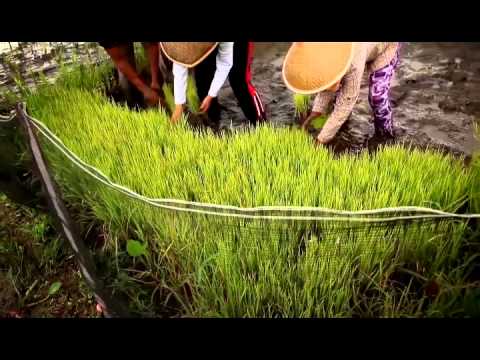 Program Bea Siswa - HIMASMA 3 Teladan Bukittinggi