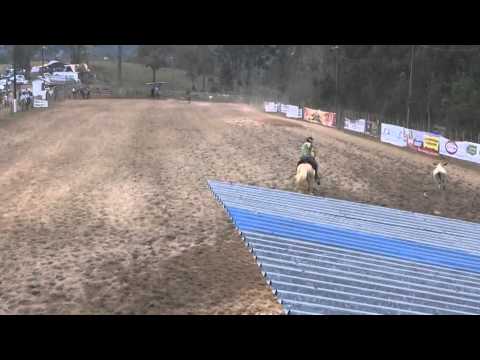 Bocal de Ouro da Bela Aliança - laçando