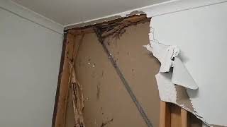 Found Sign of Termite Damage in Your Home? Call Protech Pest Control!