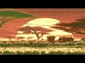 Tyler The Creator SAFARI Slowed Reverb