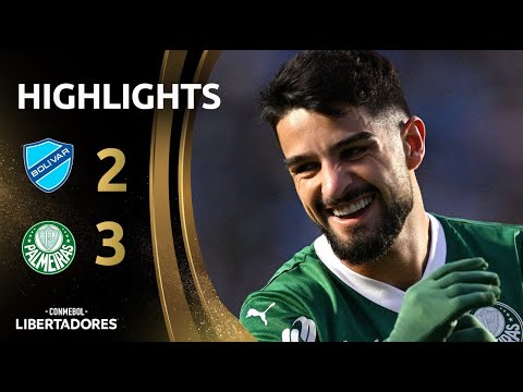 bg-highlight