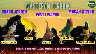 Download lagu 5 in 1 MASTERAN JERNIH dengan Jeda (Masteran Tembakan Kasar) mp3 Download lagu 5 in 1 MASTERAN JERNIH dengan Jeda (Masteran Tembakan Kasar) mp3