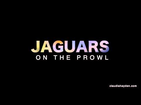 JAGUARS on the Prowl - Claudia Hayden