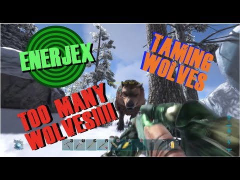 Ark Survival Evolved Ps4 | Ep.7 Taming Wolves!!!!