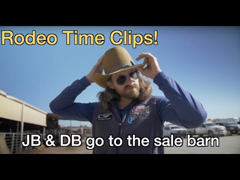 Sale Barn Field Trip!