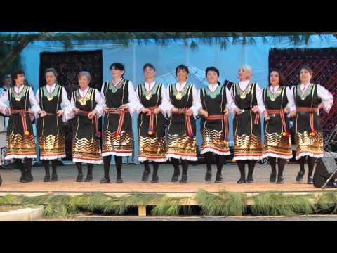 Romanian Fall Festival 2013 - Rosa Atlanta Dace Group.