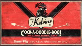 THE KELVINS - Dear Pig