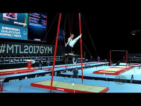 KALLANVAARA Pontus (SWE) - 2017 Artistic Worlds, Montréal (CAN) - Qualifications Rings