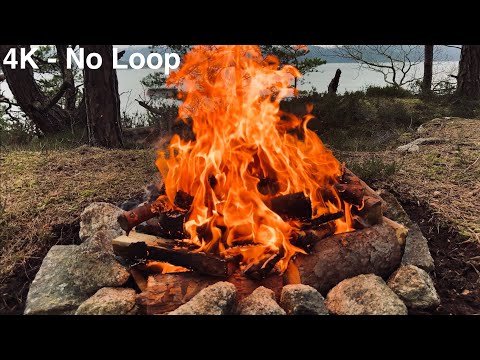 Campfire 4K No Loop No Edit - Crackling Fire Sound & Relaxing Bird Ambience - Fireplace Video 🔥
