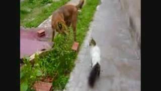 The Angel &amp; The Jerk