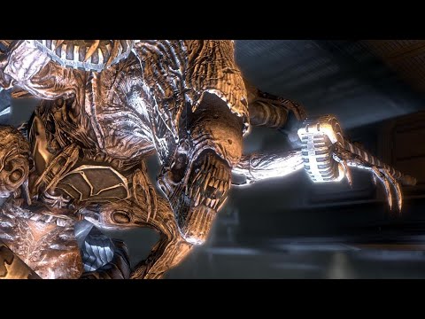 Wiki Aliens : La Matriarche