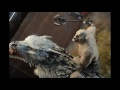 WETA At SDCC 2017 RaddTitan