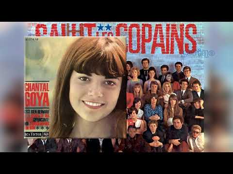 Les 47 Artistes de la photo du siècle de salut les copains