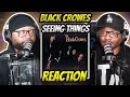 The Black Crowes - Seeing Things (REACTION) #blackcrowes #reaction #trending