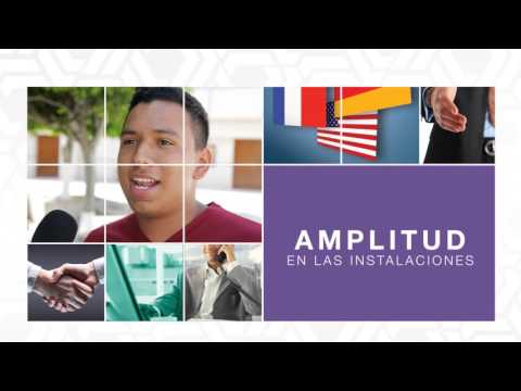 #DiscoverYourValue with the Bachelor's Degree in Languages ​​and Public Relations