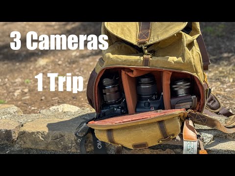 Full Frame vs APS-C vs Micro Four Thirds: Road Trip Photography Test