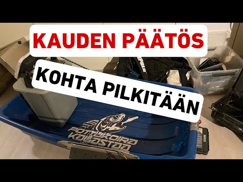 Pottukoira kalastaa- avovesikauden päätös