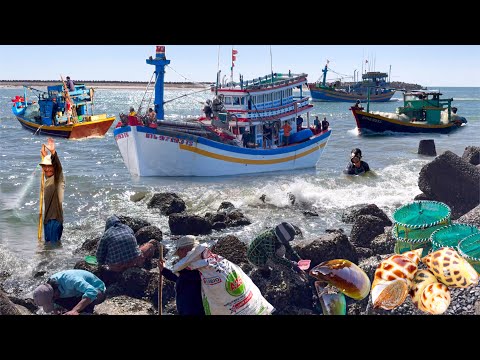 Gặp Siêu Phẩm Lưới Rút 6 Tỷ | Bãi Tắm Đông Nhất Phan Thiết