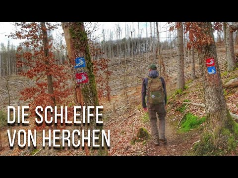 Die Schleife von Herchen | Natursteig Sieg Etappe 6 | Natur in NRW | 2023 | Jörg Müller