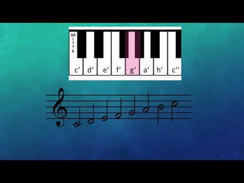 Noten lesen lernen Teil 1