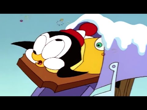 Chilly Willy en Español 🐧Chilly Mexicano -  Capitulos completos 🐧Dibujos Animados