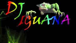 REGGAETON REMIX  2010 - DJ IGUANA