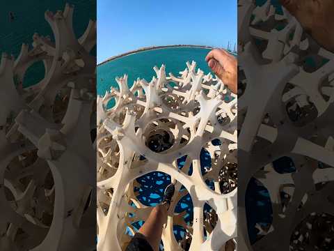 Climbing a dinosaur skeleton 🦕