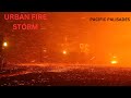 HELMET CAM - Pacific Palisades Fire Storm.mp4