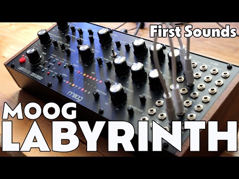Exploring the Moog Labyrinth | Overview & User Experience | First Sounds