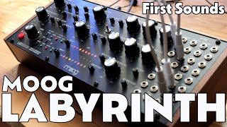 Video thumbnail for Exploring the Moog Labyrinth | Overview & User Experience | First Sounds by Braintree56