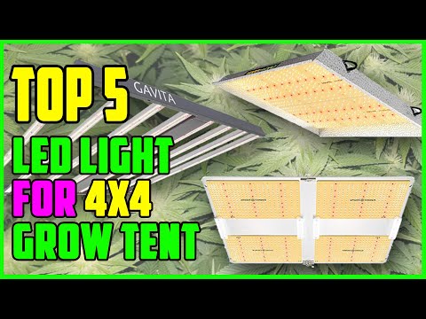 , title : 'TOP 5 Best LED Light For 4x4 Grow Tent 2023'