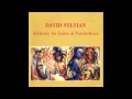 David Sylvian - Words With The Shaman Part 1 - 2 (wav)