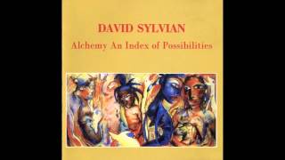 David Sylvian - Words With The Shaman Part 1 - 2 (wav)