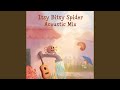 Itsy Bitsy Spider Acoustic Mix